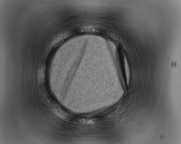 X0000099940735200806201120