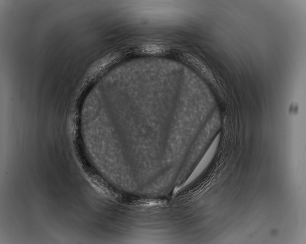 X0000099940736200806201120