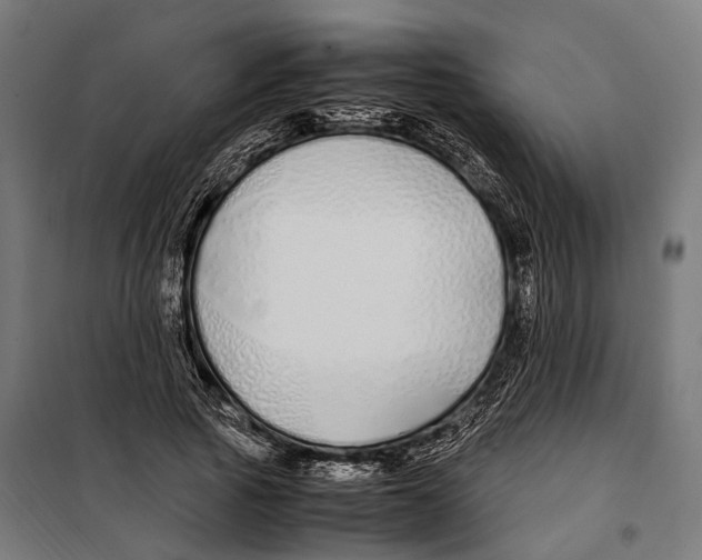 X0000099940737200806201120