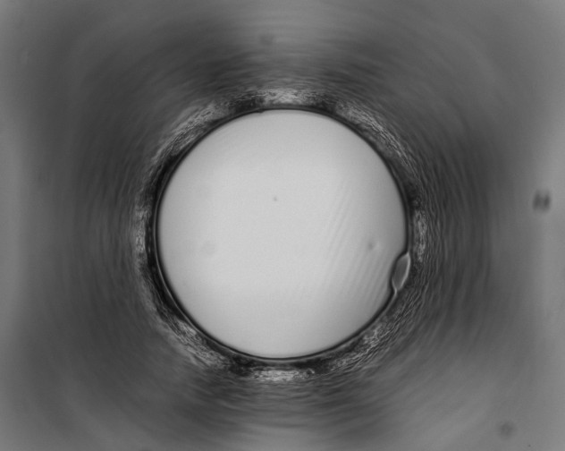 X0000099940738200806201120