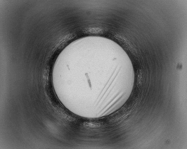 X0000099940739200806201120