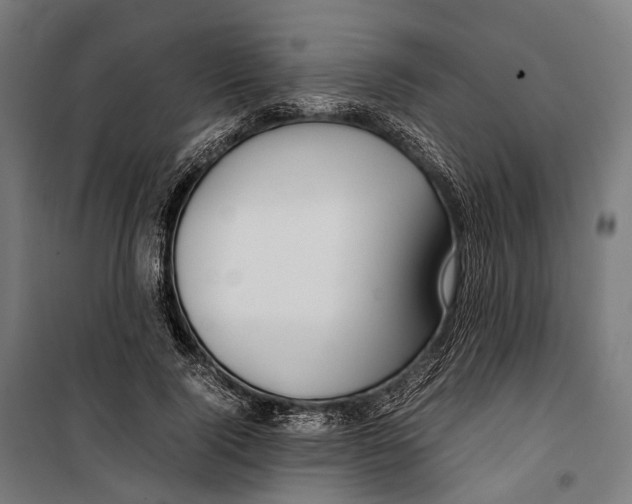 X0000099940740200806201120