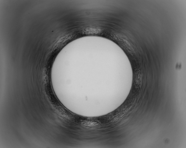 X0000099940743200806201120