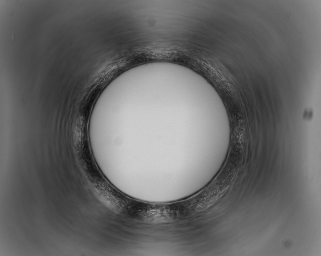 X0000099940744200806201120