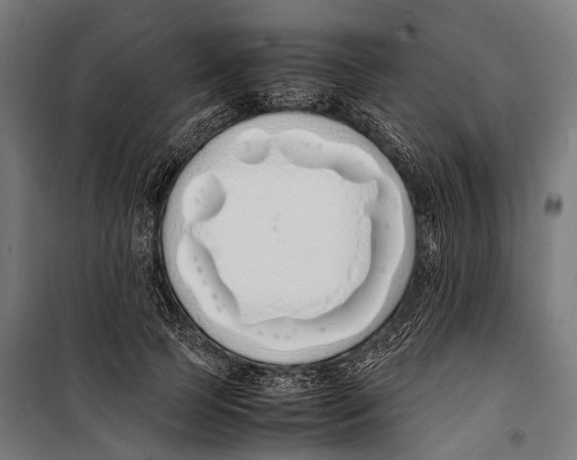 X0000099940745200806201120