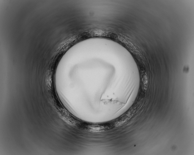 X0000099940746200806201120