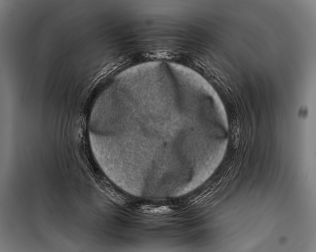 X0000099940747200806201120