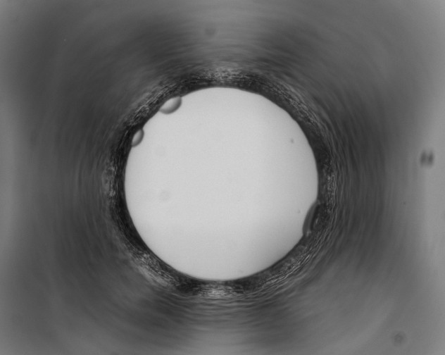 X0000099940750200806201120