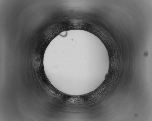 X0000099940752200806201120