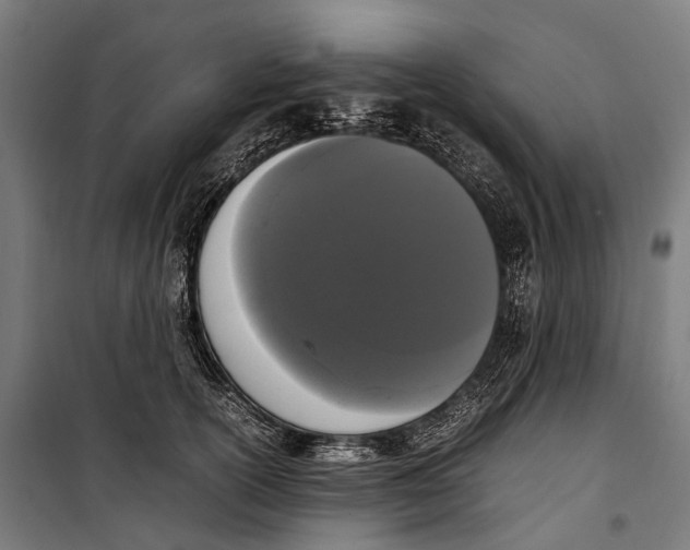 X0000099940754200806201120