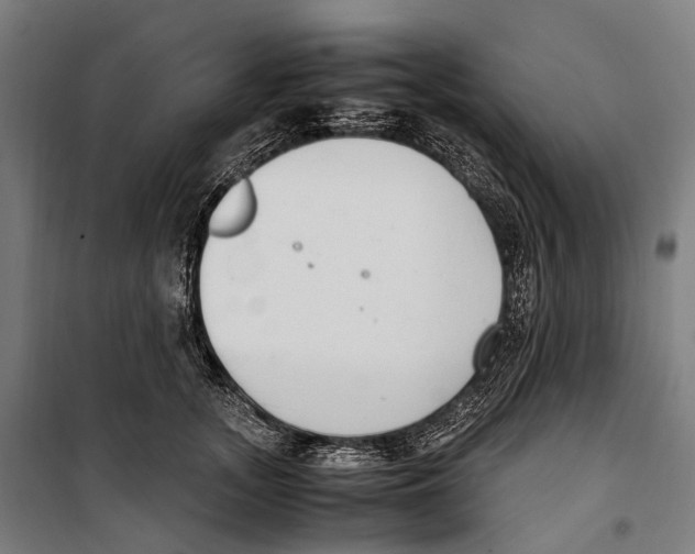 X0000099940755200806201120