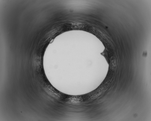 X0000099940756200806201120