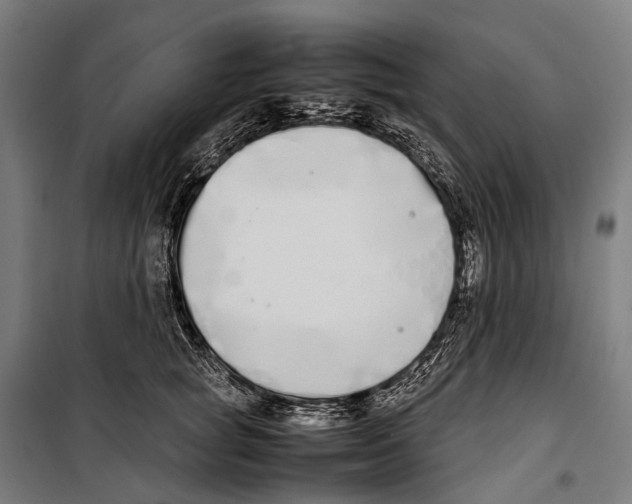 X0000099940757200806201120