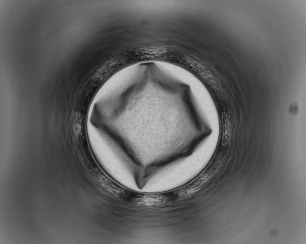 X0000099940758200806201120