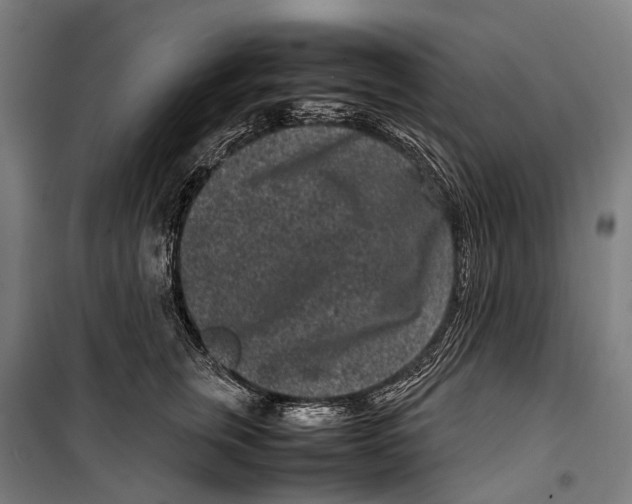 X0000099940759200806201120