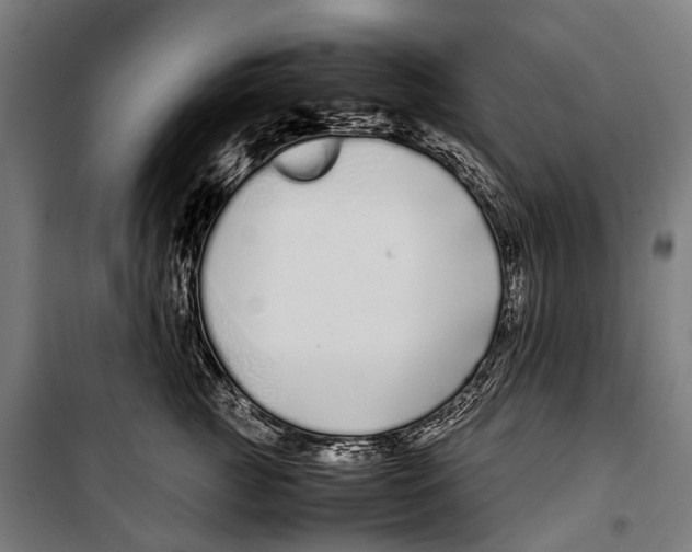 X0000099940761200806201120