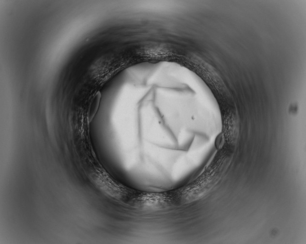 X0000099940762200806201120