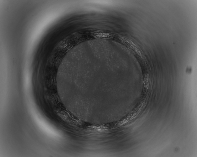 X0000099940763200806201120