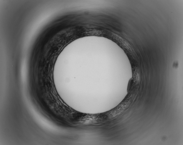 X0000099940764200806201120