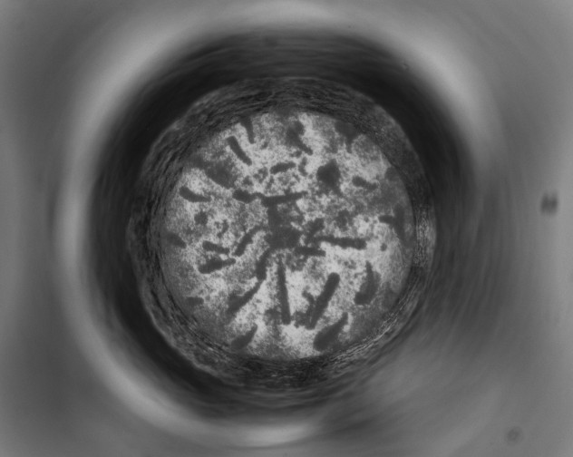 X0000099940765200806201120