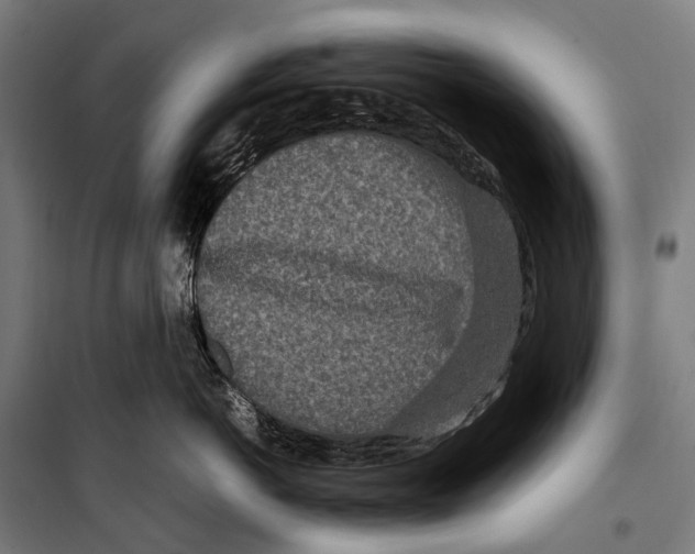 X0000099940766200806201120