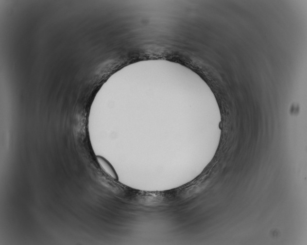 X0000099940768200806201120