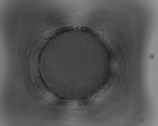 X0000099940769200806201120