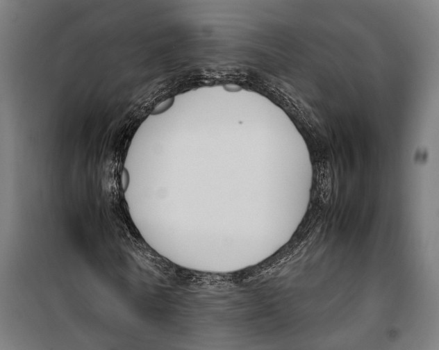 X0000099940770200806201120