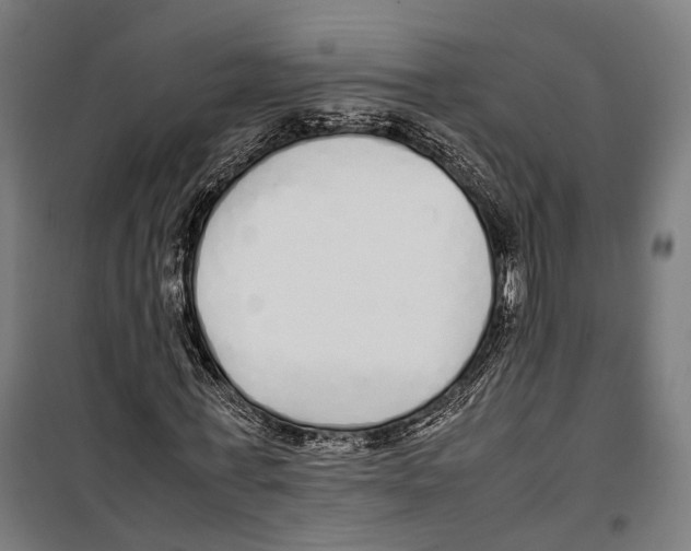 X0000099940771200806201120