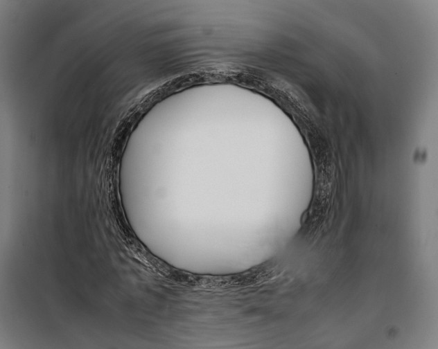 X0000099940773200806201119