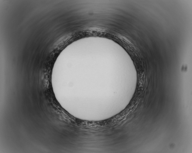 X0000099940774200806201119