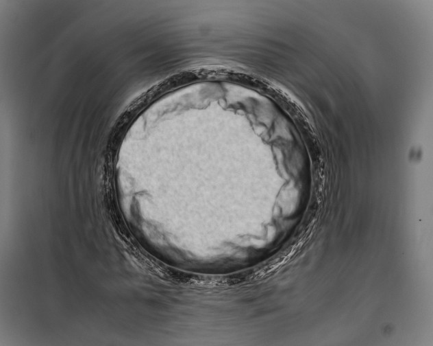 X0000099940775200806201119