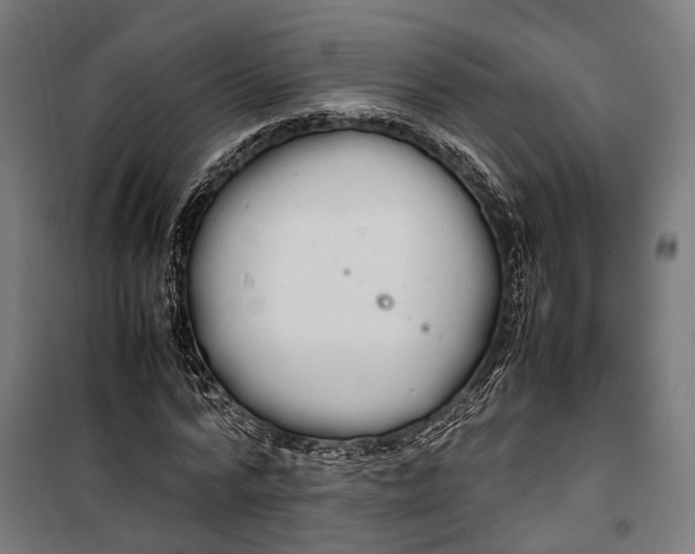 X0000099940776200806201119