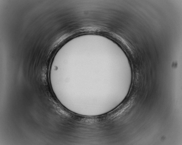 X0000099940778200806201119