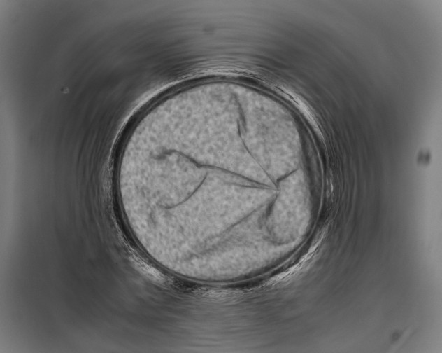 X0000099940779200806201119