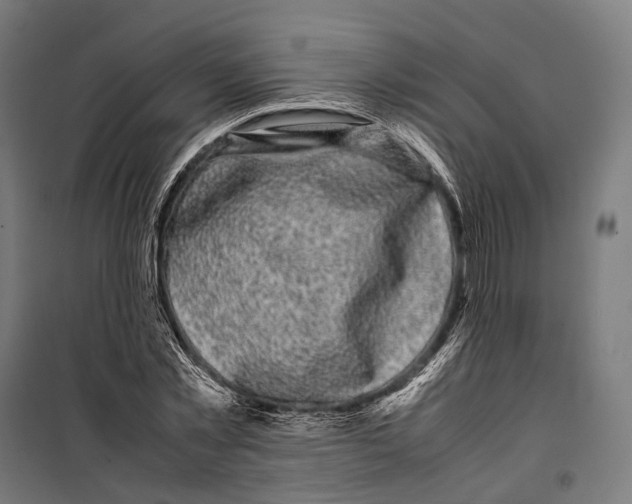 X0000099940781200806201119
