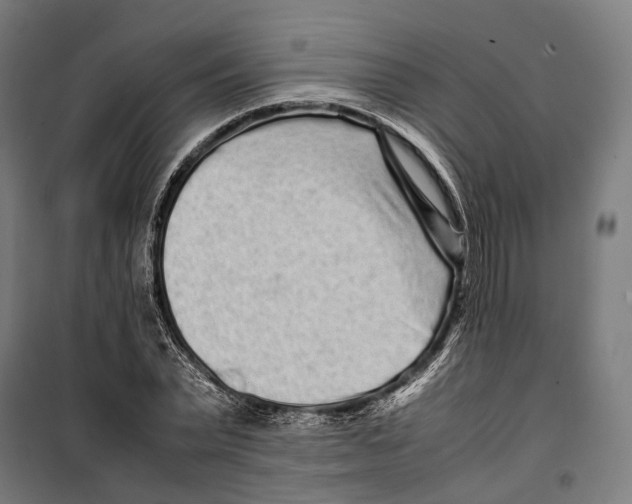 X0000099940783200806201119