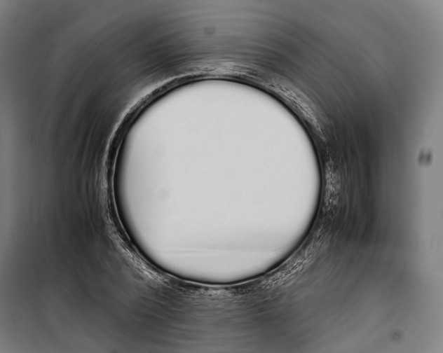 X0000099940784200806201119