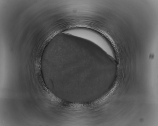 X0000099940785200806201119
