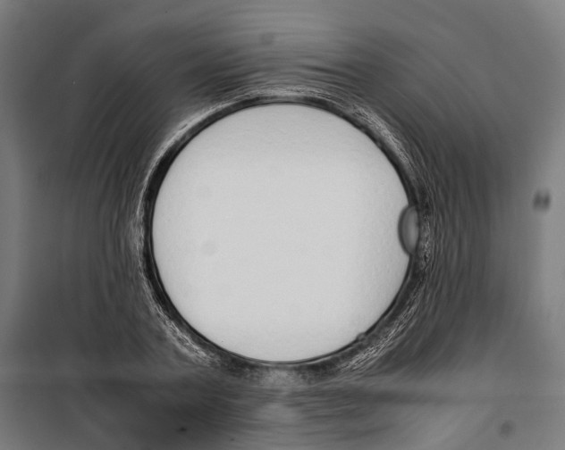 X0000099940787200806201119