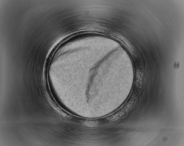 X0000099940788200806201119