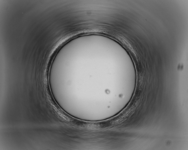 X0000099940789200806201119
