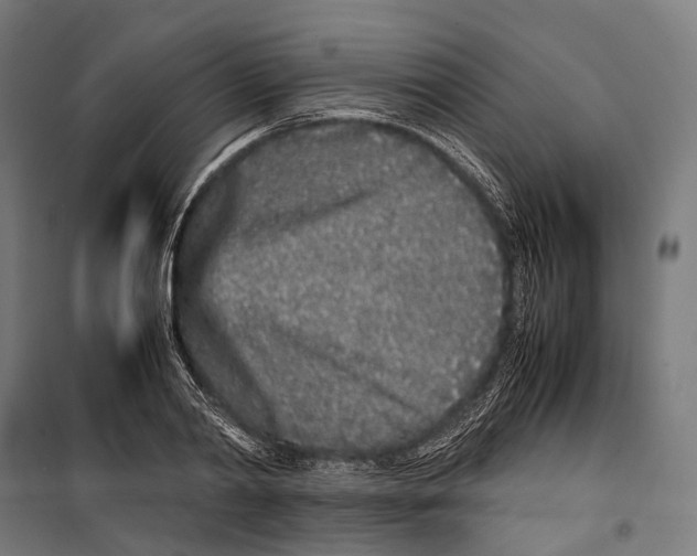 X0000099940790200806201119