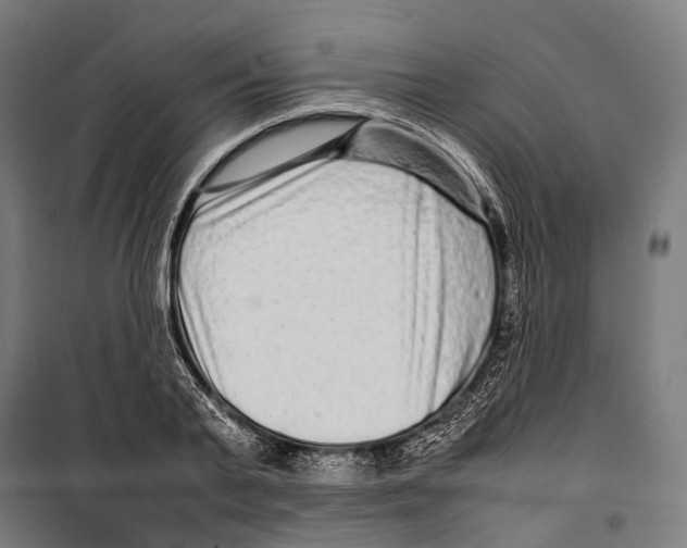 X0000099940791200806201119