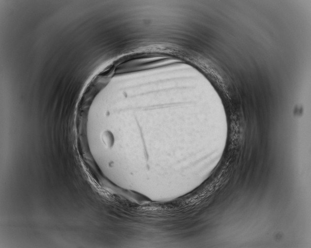 X0000099940792200806201119