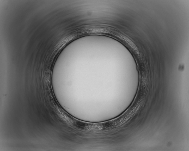 X0000099940793200806201119