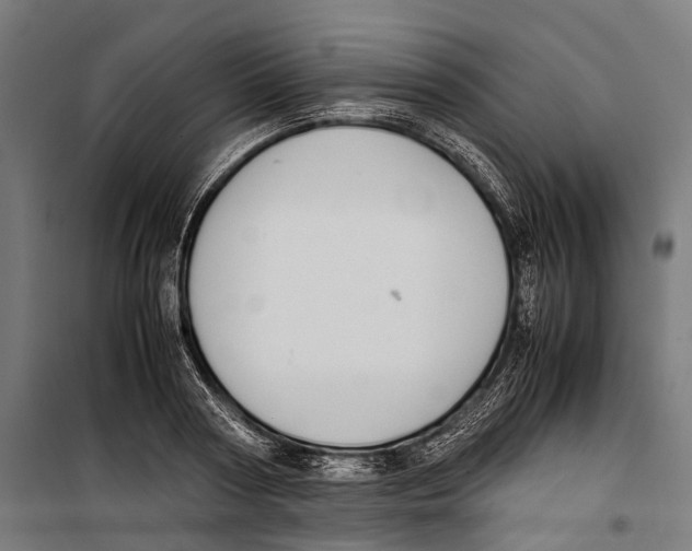 X0000099940794200806201119