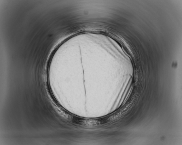 X0000099940795200806201119