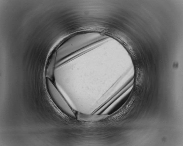 X0000099940796200806201119