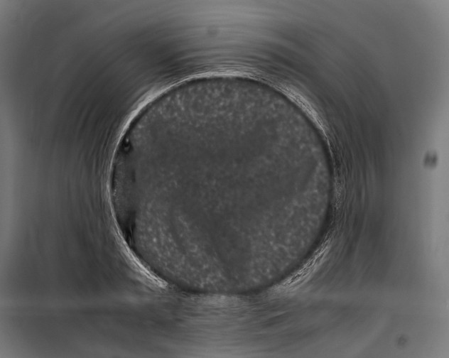 X0000099940797200806201119